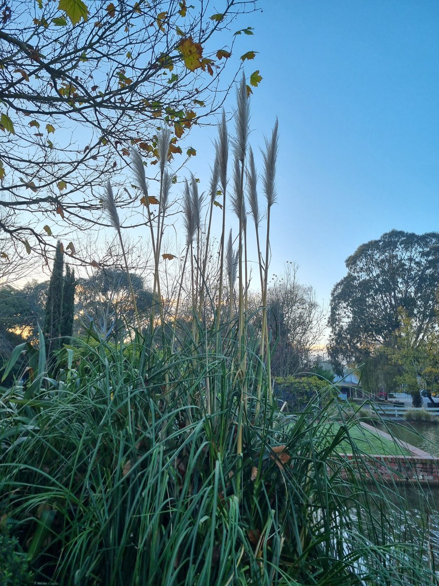 KatieDodson tweet media