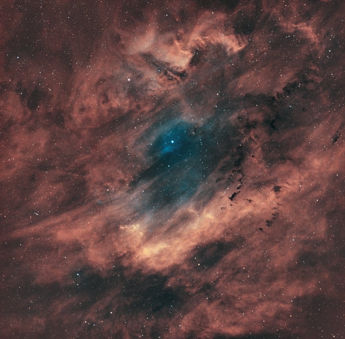 LtNo2's tweet image. I combined last year's subs with those shot 15 days ago on SH2-119 the #Clamshell #Nebula. Sadly the FOV's of each year are at a 90° angle to each other so the resulting image is square. A little under 10 hours of integration time for this image in HOO. #Astrophotography 🔭📷