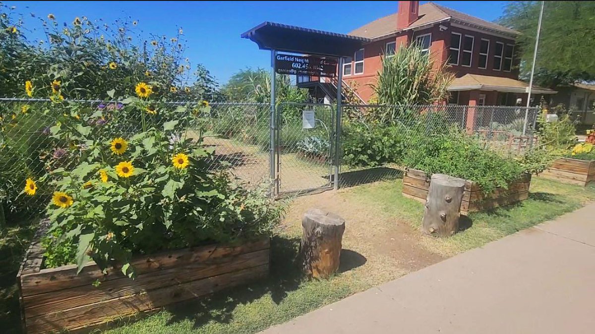 shiftoursociety's tweet photo. Showcase: Garfield Neighborhood Garden | Phoenix, Arizona

Watch the full tour on Youtube⬇️

https://t.co/2r8LyP7Edi https://t.co/l9R9fSY83H