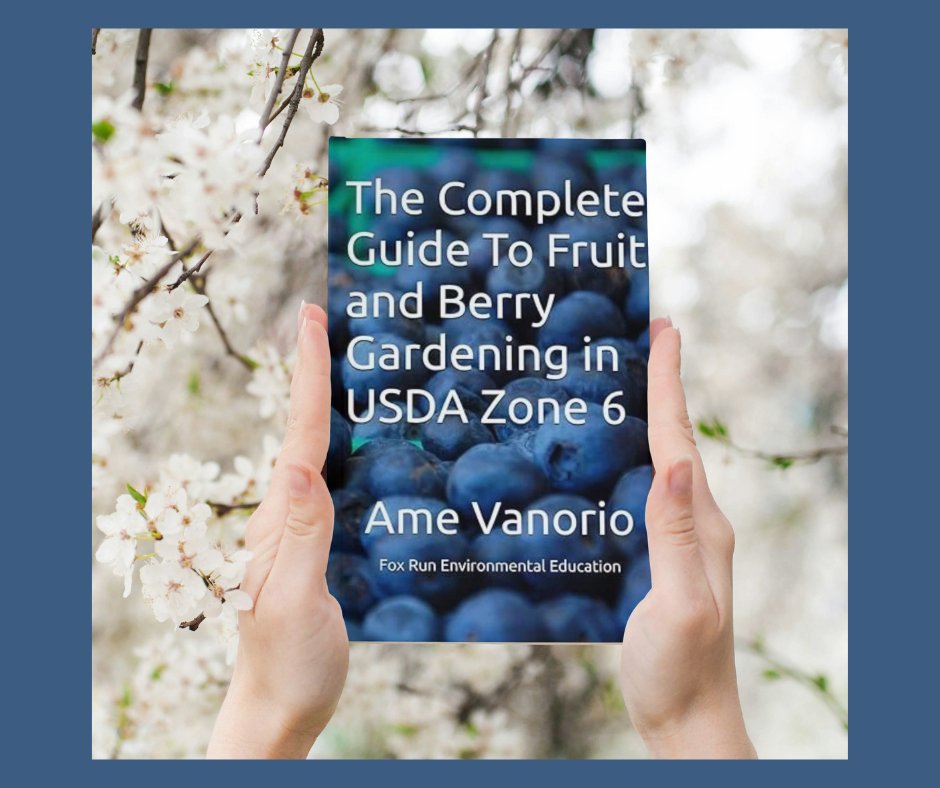 My book on Growing Fruit is now available! 166 Pages, Covers 16 fruit trees, berries, and perennial veggies. This is next in the series on Zone 6 gardening. #organicgardening #fruitgrowing Check out my book on Amazon amzn.to/4bNIhnA