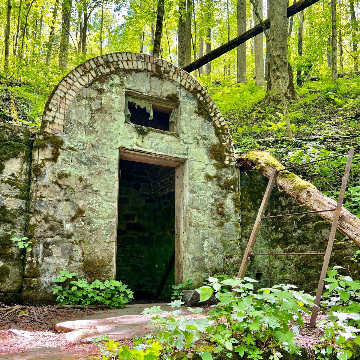 MobileBrochure's tweet photo. ๐๏ธ๐ Can you guess the name of this hidden gem in the Smokies? ๐ณโจ This mysterious spot is tucked away in the heart of nature, waiting for adventurous souls to discover it. Reply with your guesses! #SmokyMountains #HiddenGem #ExploreTN #NatureLovers #GreatSmokyMountains https://t.co/MfDIPVEFxS
