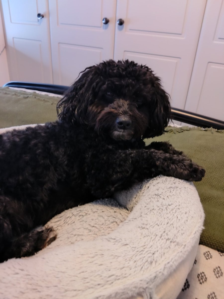 Le©🌿 tweet media