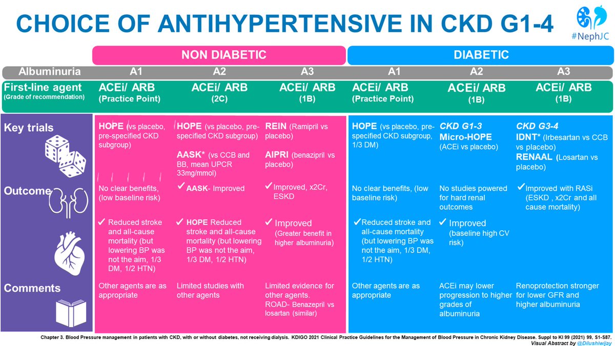edgarvlermamd's tweet image. On delaying CKD progression: BP control from @goKDIGO
#NephJC #Nephpearls
#VisualGraphics by @elbaonelida @Dilushiwijay
👉 kdigo.org/guidelines/ckd…
👉 kdigo.org/guidelines/blo…