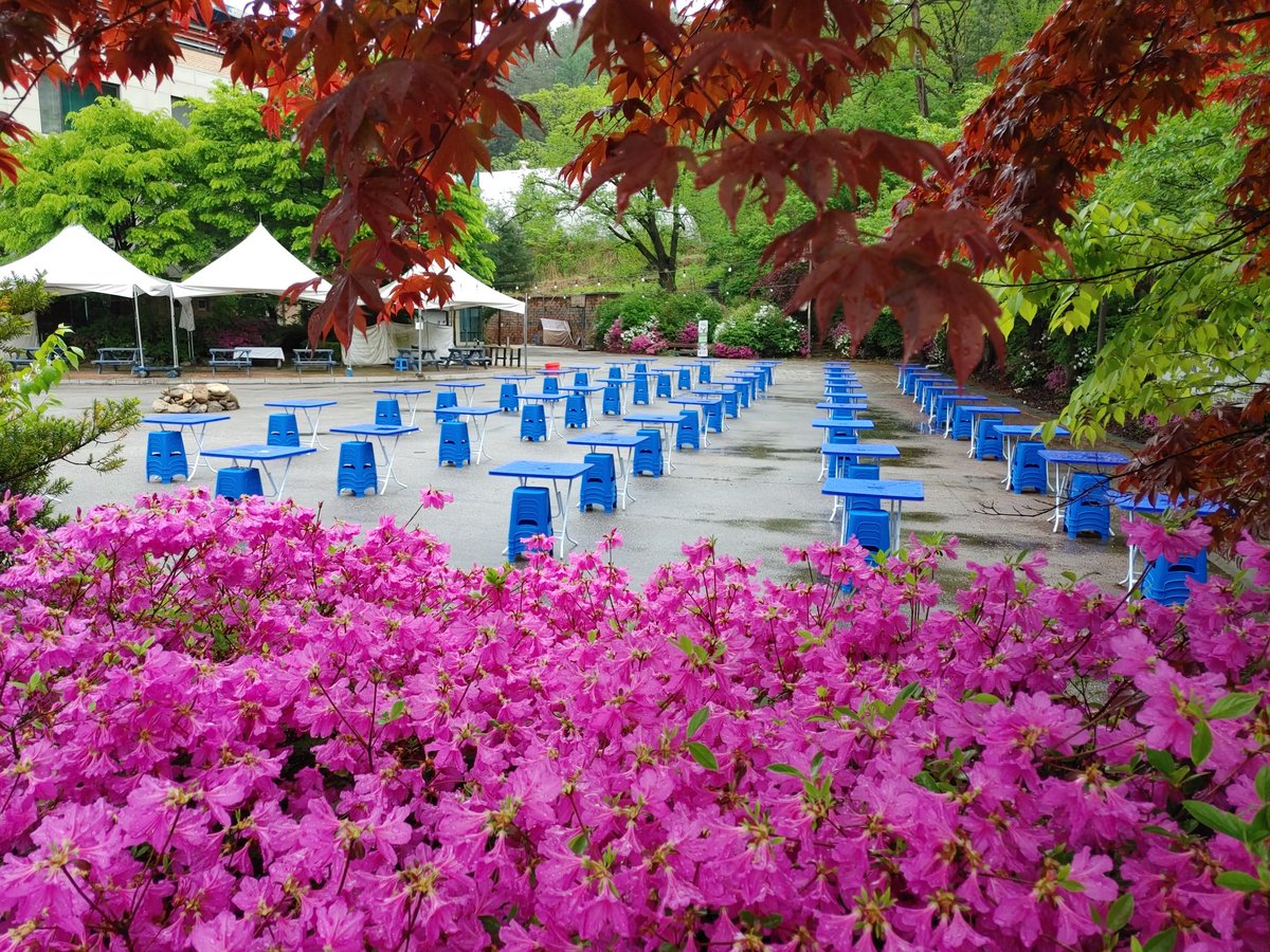 campinglink's tweet photo. 200석 규모의 야외 포차
인제 최대 야외 포차 "난장"
다양한 주류. 안주 (전 메뉴 1만원)
오후 7시까지 입장 또는 쿠폰 확인 1드링크 (소주.맥주 잔술) 제공 
운영기간 
매주 금~토 7뤌~8월 (휴가시즌) 수~일요일
운영시간 
18시 ~24시
21시~24시 차량운행 (자세한 정보 현장확인)
T 033 461 3377 https://t.co/184phJI2oi