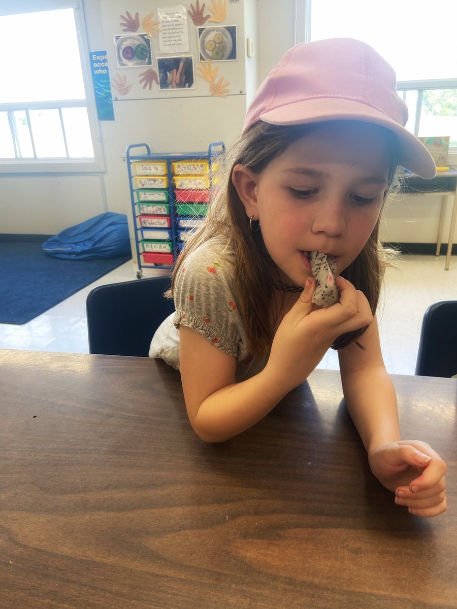 For tasty Tuesday today we discovered dragon fruit. Some where familiar with it but many didn’t- we got the chance to feel it, smell it, and taste it #AfterSchool #Discovery at #PLASP @PLASP_CCS