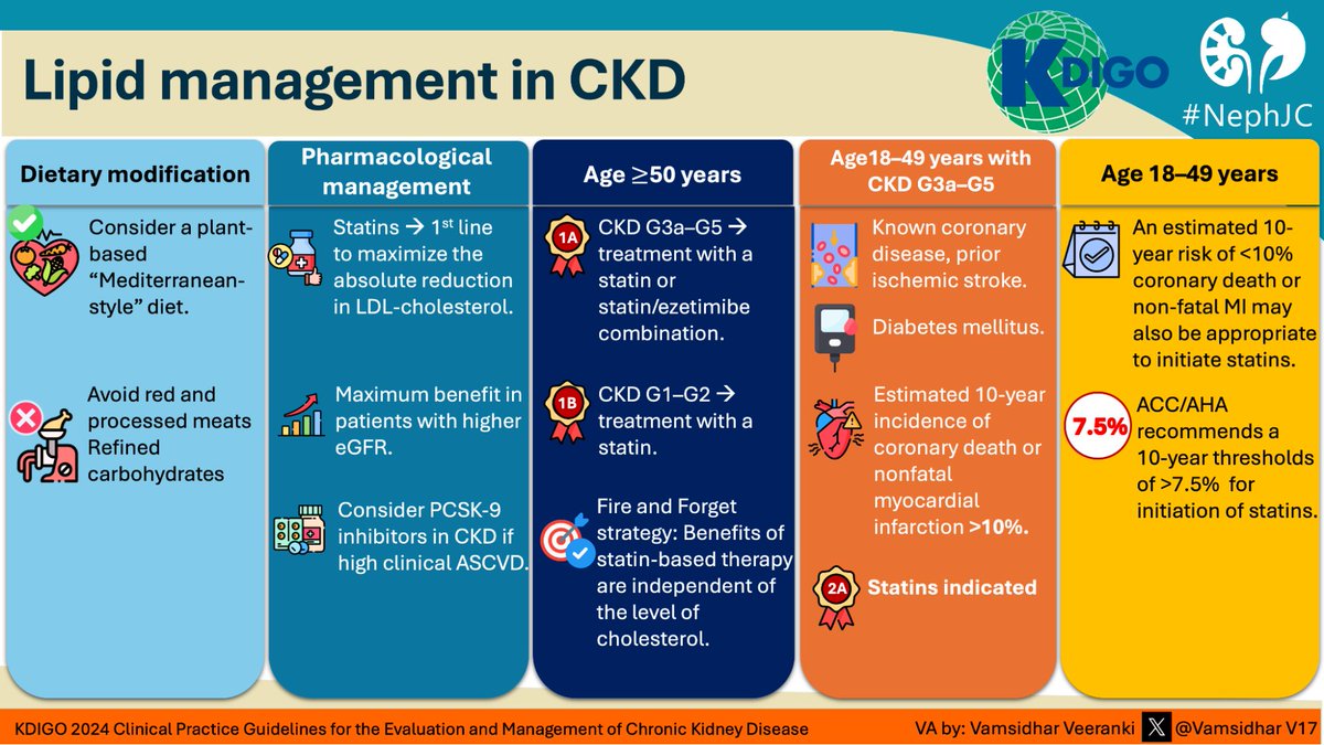 Lipid management in CKD from @goKDIGO #NephJC #Nephpearls #VisualGraphic by @VamsidharV17 👉kdigo.org/guidelines/ckd…