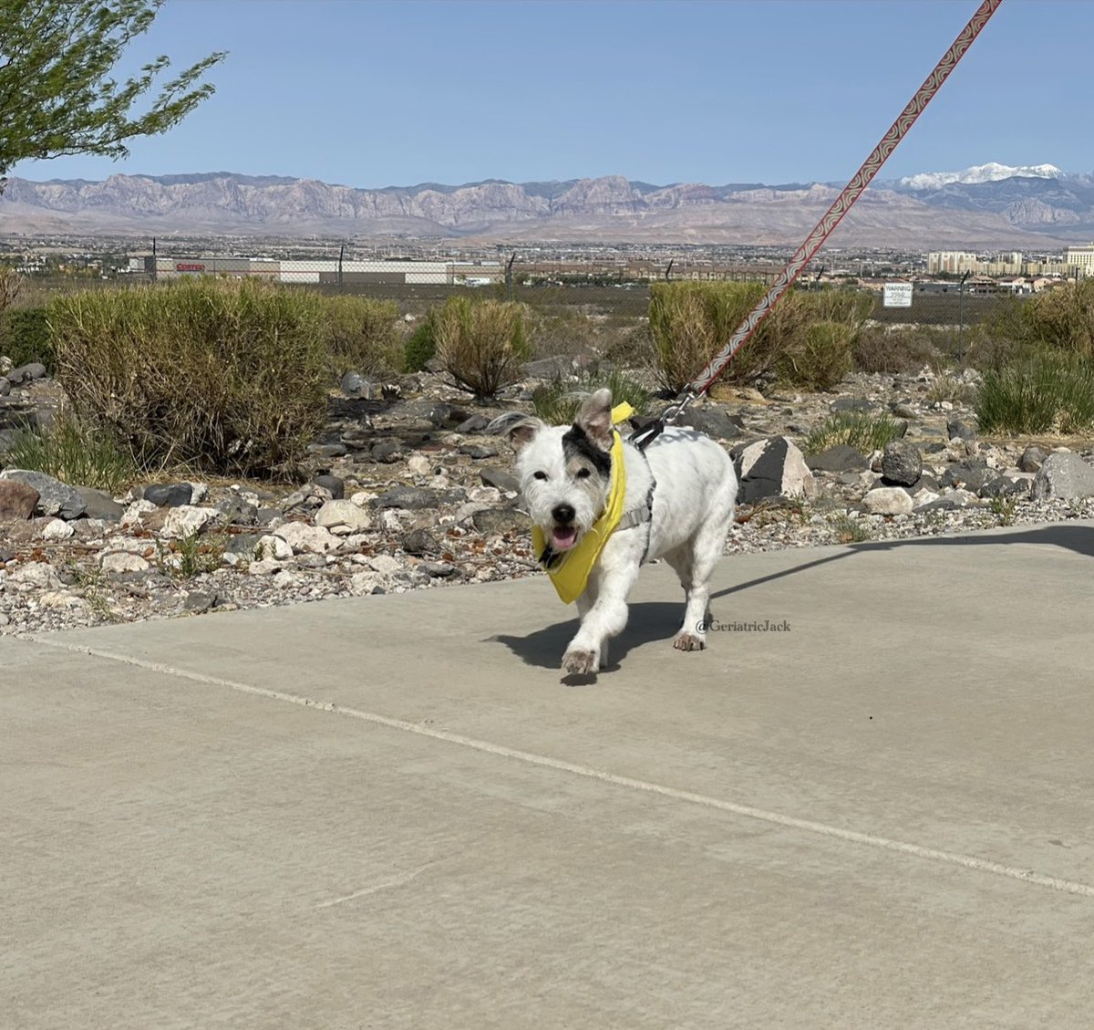 Jack🌈 and the human tweet media