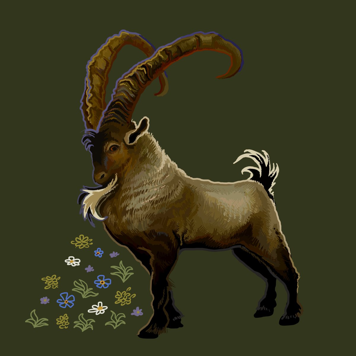 A small Alpine Ibex doodle/study to break me out of art block