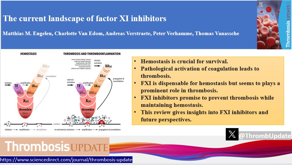 Thrombosis Update (@thrombupdate) on Twitter photo FXI inhibitors promise to prevent thrombosis while maintaining hemostasis.
In this recent review, the authors provided insights into FXI inhibitors and future perspectives.
<a href="/VerhammePeter/">Peter Verhamme</a> <a href="/MatthiasEngelen/">Matthias M Engelen</a> <a href="/ELShematology/">Elsevier Hematology</a>
#ThrJournal
Read more here: sciencedirect.com/science/articl… FXI inhibitors promise to prevent thrombosis while maintaining hemostasis.
In this recent review, the authors provided insights into FXI inhibitors and future perspectives.
<a href="/VerhammePeter/">Peter Verhamme</a> <a href="/MatthiasEngelen/">Matthias M Engelen</a> <a href="/ELShematology/">Elsevier Hematology</a>
#ThrJournal
Read more here: sciencedirect.com/science/articl…