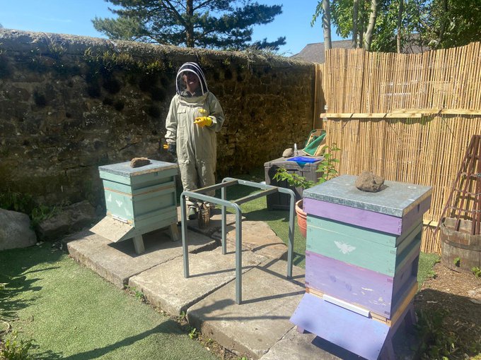 @chatbiology We are lucky enough to have our own apiary with three hives. Thoroughly recommend joining up with a local beekeeping group and undergoing training with them. We have a thriving Bee Club now and are making school honey this year.