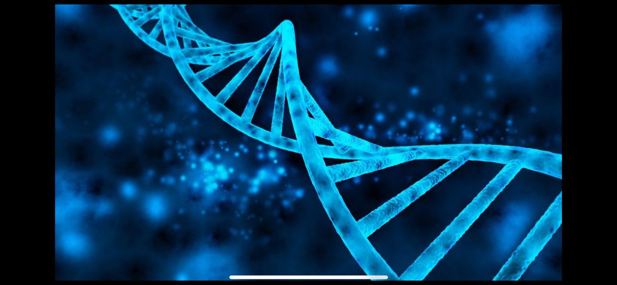UCL Biosciences (@uclbiosciences) on Twitter photo Are you passionate about #genetics and the future of #healthcare? Join us at our online and in-person information sessions. 
🗓️ Sign up to learn more and kickstart your journey in genetics with us. ucl.ac.uk/biosciences/st…
#MScGeneticsOfHumanDisease #GeneticResearch Are you passionate about #genetics and the future of #healthcare? Join us at our online and in-person information sessions. 
🗓️ Sign up to learn more and kickstart your journey in genetics with us. ucl.ac.uk/biosciences/st…
#MScGeneticsOfHumanDisease #GeneticResearch