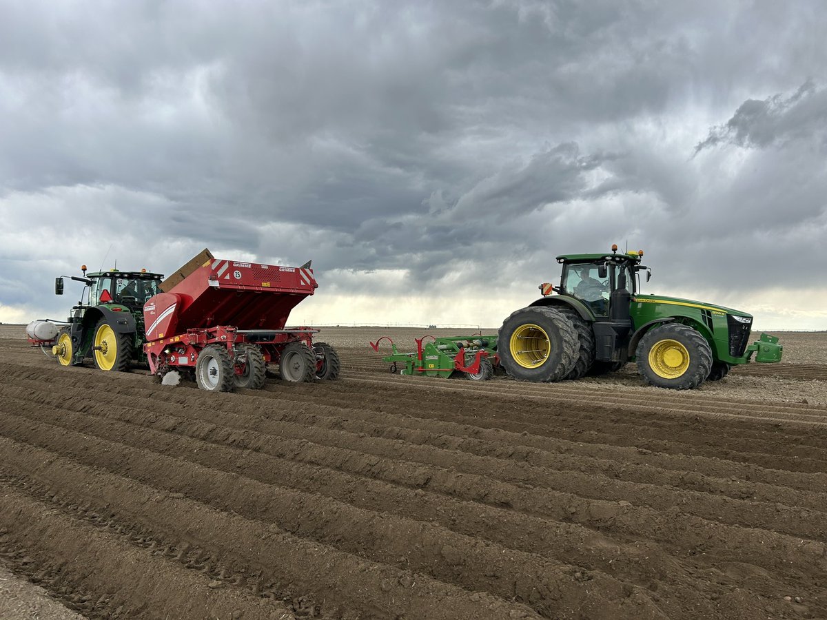 Tim Halsema tweet media