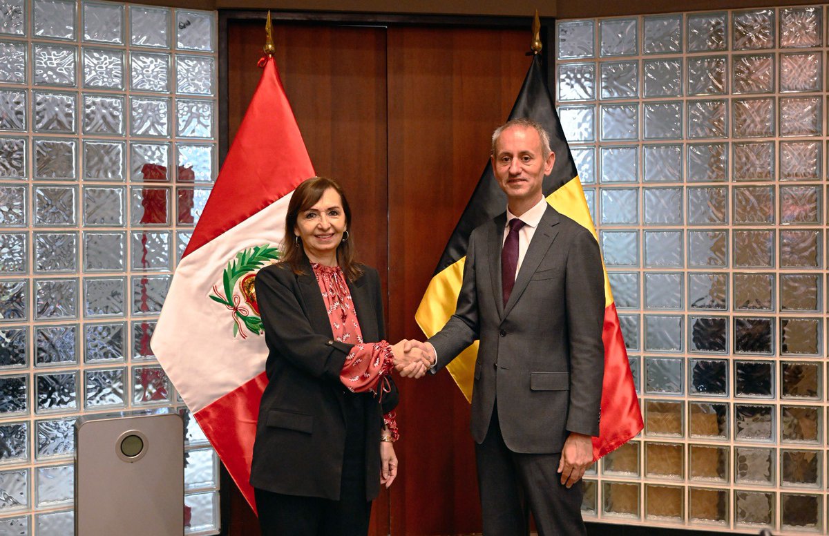 La directora general de Europa de la Cancillería, embajadora Lissette Nalvarte, y el director general para Asuntos Bilaterales del Reino de Bélgica, embajador Jeroen Cooreman, presidieron la IV ronda de Consultas Políticas entre el Perú y Bélgica. 🇵🇪🤝🇧🇪