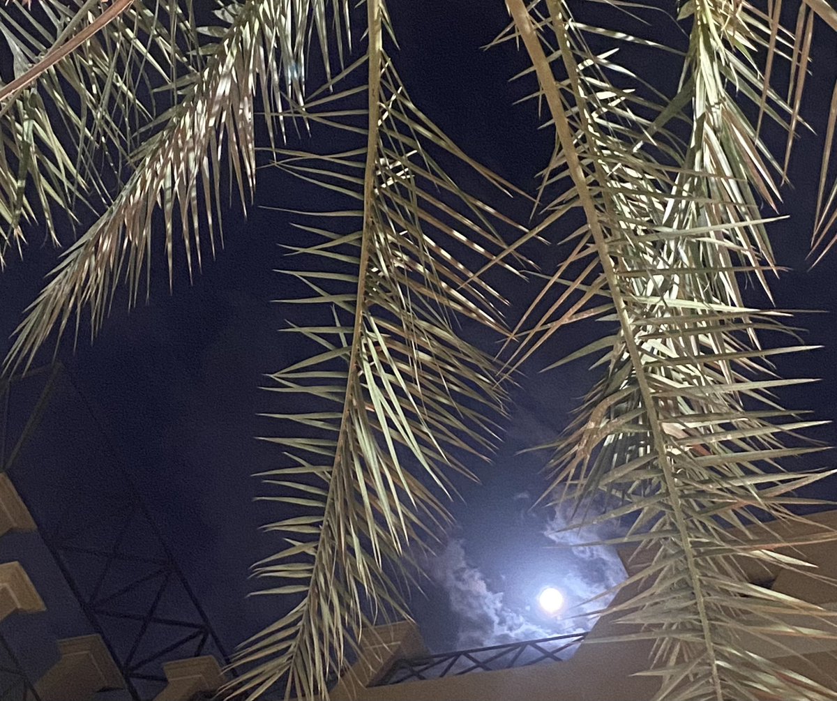 أخاف أصارحك عن رغبتي وأندم على التصريح
معي موضوع .. لكن ما معي للحين مفتاحه

أدوّر في اللغة عن كلمة ٍ تعفيني التوضيح
أنا ويّاك .. عالق بين حد الياس .. والراحة

عذابي معك في حبس الشعور وكثرة التلميح 
تعبت أكتم شعور أصعب علي من كتمه إفصاحه