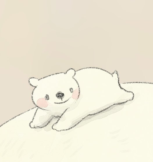 「animal focus polar bear」 illustration images(Latest)