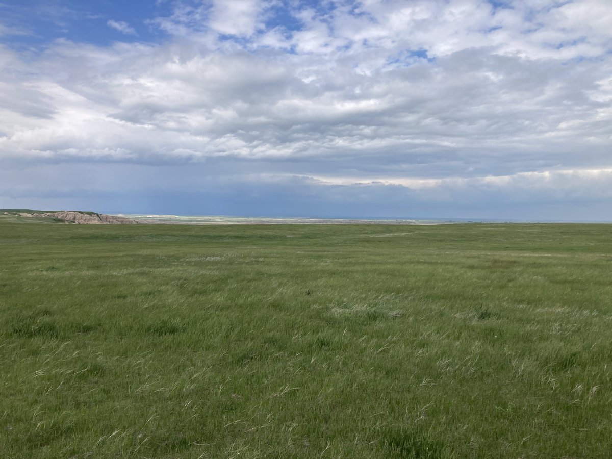 blvemt's tweet image. My view for the night. I’m boondocking at the beginning of the Badlands. Last time i was here a bighorn and a buffalo wondered by. So far a coyote trotted by. He’s in the video if you zoom in to the light colored spot that’s moving.