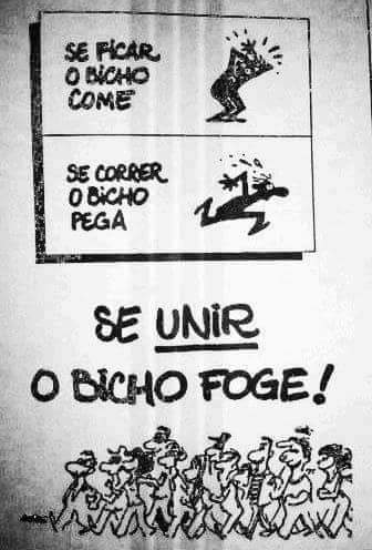 #LulaResolve