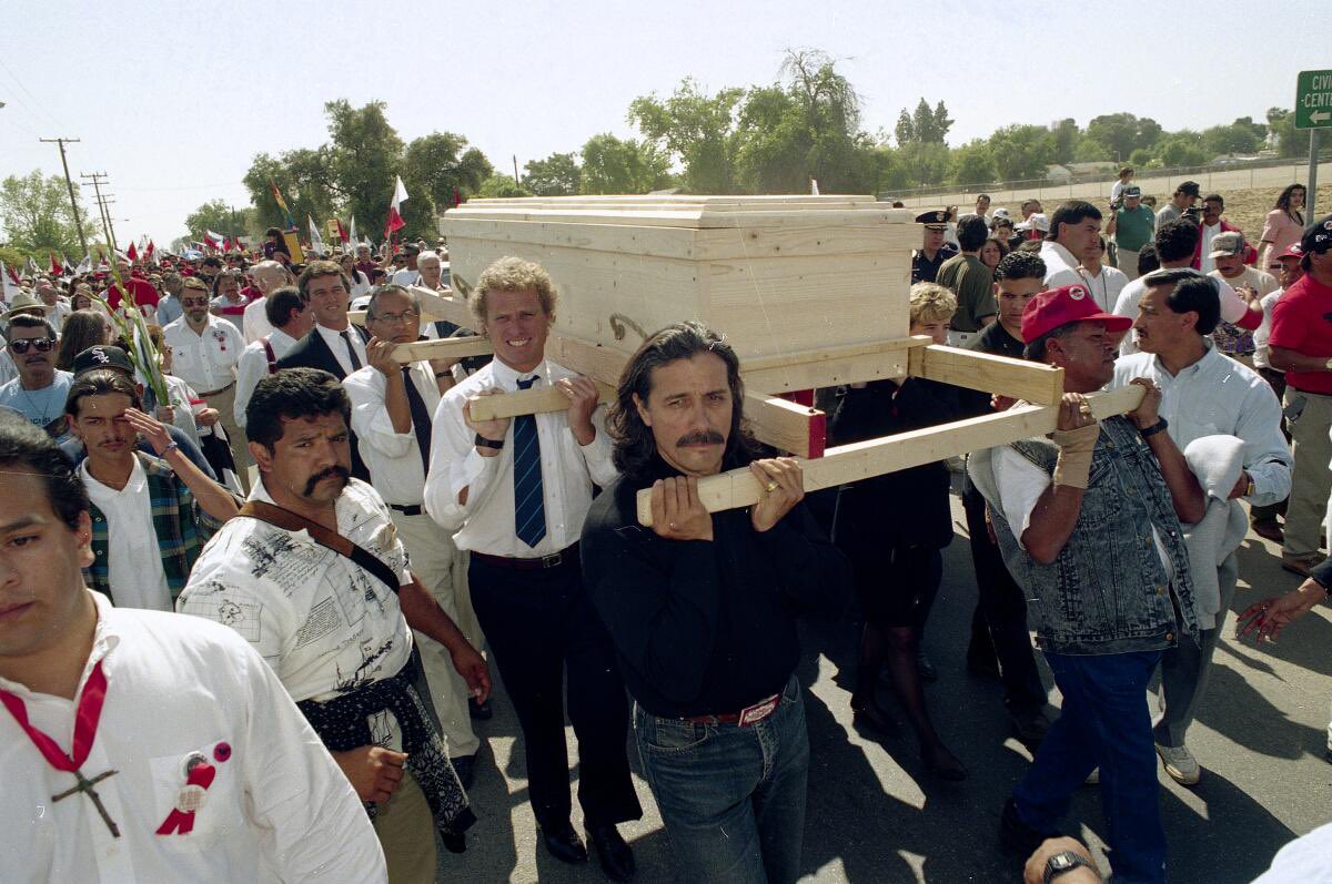 This is a young Robert F. Kennedy Jr. serving as a pall bearer at the funeral of farmworker organizer, Cesar Chavez in 1993. He was asked due to the close relationship between the Kennedy & Chavez families on behalf of farmworker rights. #Salinas #UFW #FarmWorkerRights