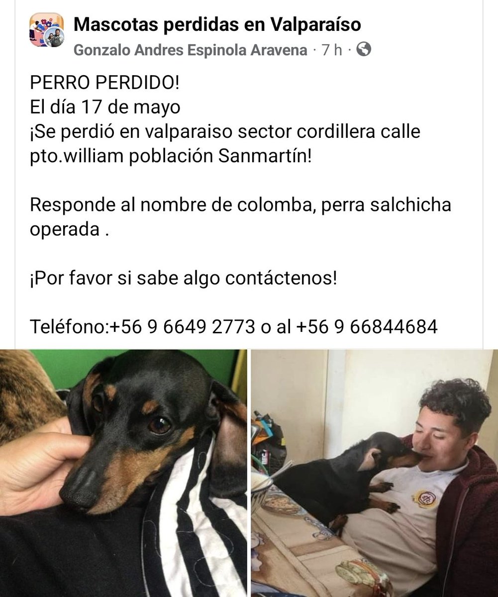 Buscan a Colomba en #Valparaiso Favor RT!