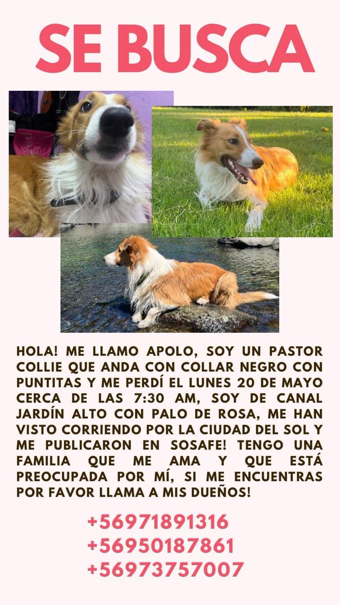 🚨🚨🚨 Lo buscan 🙏 compartan 👇