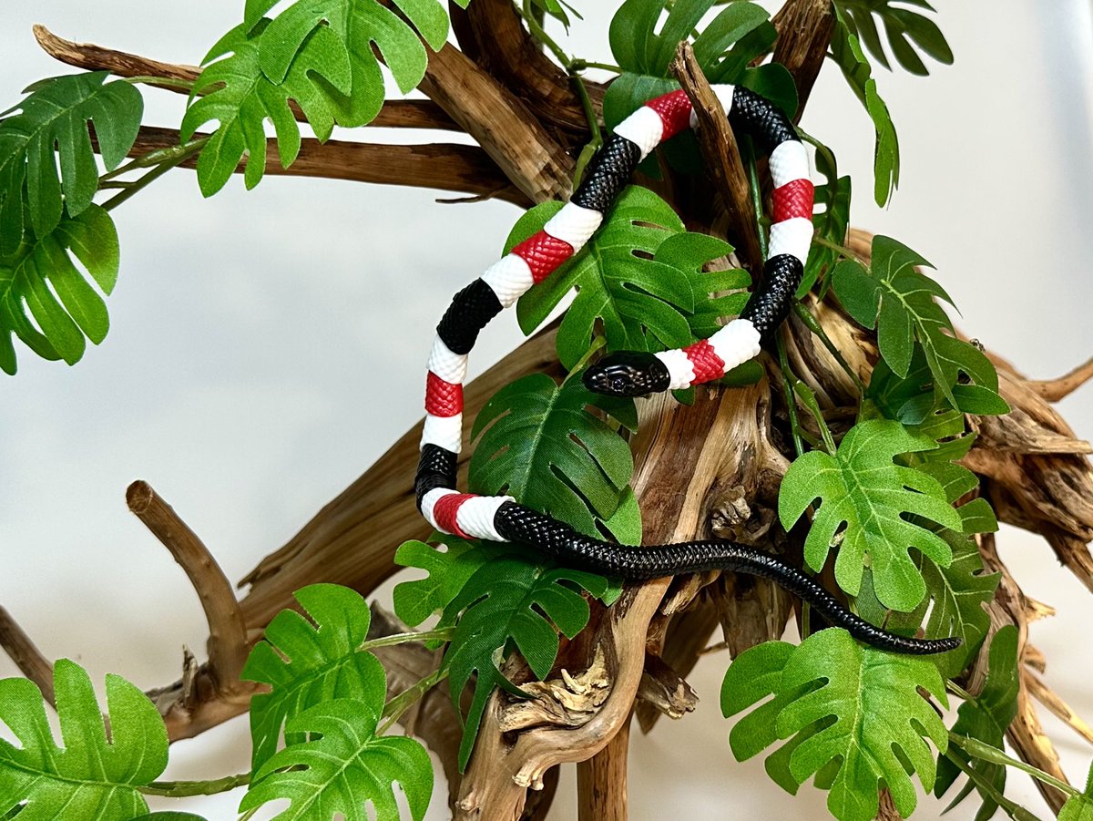 생존 확인차 올려보는 삐삐들...

기다려주신 분들께 정말 정말 감사드립니다.🙇🏻‍♀️
빠른 시일안에 뵐 수 있도록 얼른 준비하겠습니다.

모두 건강 조심하세요!