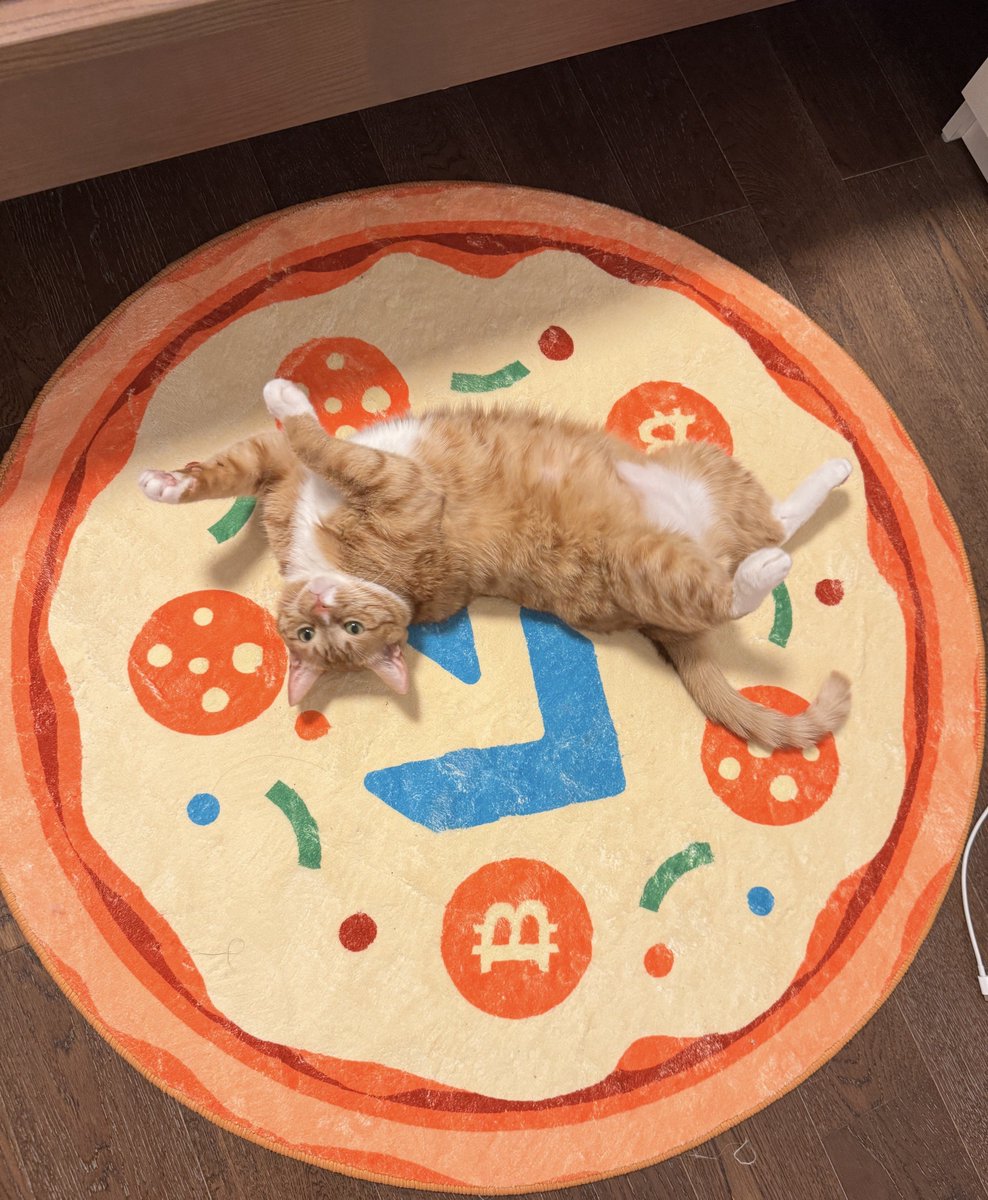 静香小姐 tweet media