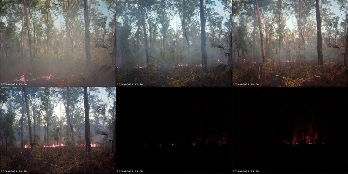 maitec (@maitec_sec) on Twitter photo Some pix of the #fuelreduction #burn at the #NorthAustralianSatelliteValidation site <a href="/LitchfieldSSS/">Litchfield Supersite</a> taken by one of our vegetation cameras. The #fire (#bushfire) was very low intensity and moving barely 10m per hour. Some pix of the #fuelreduction #burn at the #NorthAustralianSatelliteValidation site <a href="/LitchfieldSSS/">Litchfield Supersite</a> taken by one of our vegetation cameras. The #fire (#bushfire) was very low intensity and moving barely 10m per hour.