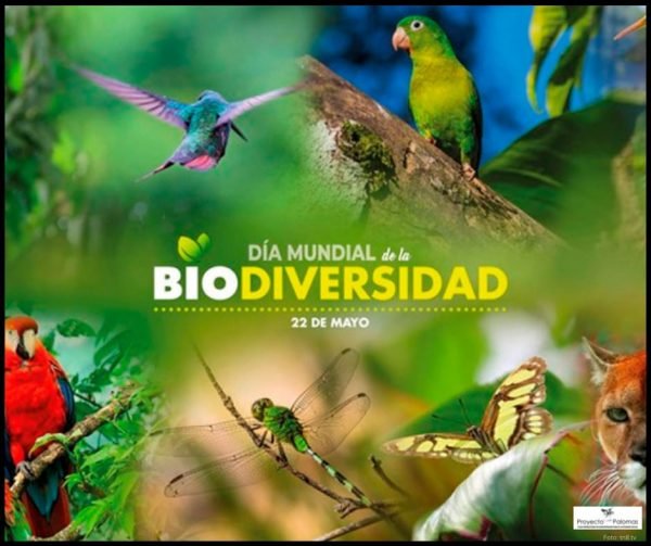 Cada 22 de mayo se celebra el Día Internacional de la Diversidad Biológica, por decisión de la Asamblea General de las Naciones Unidas del 20 de diciembre de 2000. Un llamado a cuidar y proteger la naturaleza. 
#CubaPorLaVida
#MujeresEnRevolución