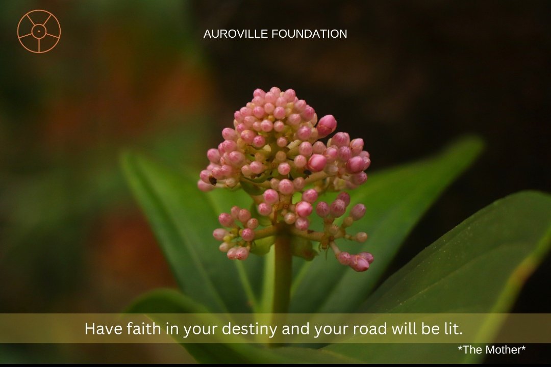 #Auroville #SriAurobindo #TheMother #Faith