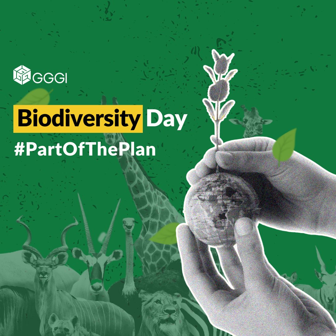 Happy #BiodiversityDay!🌏

Conserving biodiversity is key to sustainable #greengrowth.

Learn how GGGI Indonesia has become #PartOfThePlan through its sustainable landscape programs, a renewed commitment to protecting our planet🌳🌱 #GenerationRestoration

bit.ly/3KbRlXP