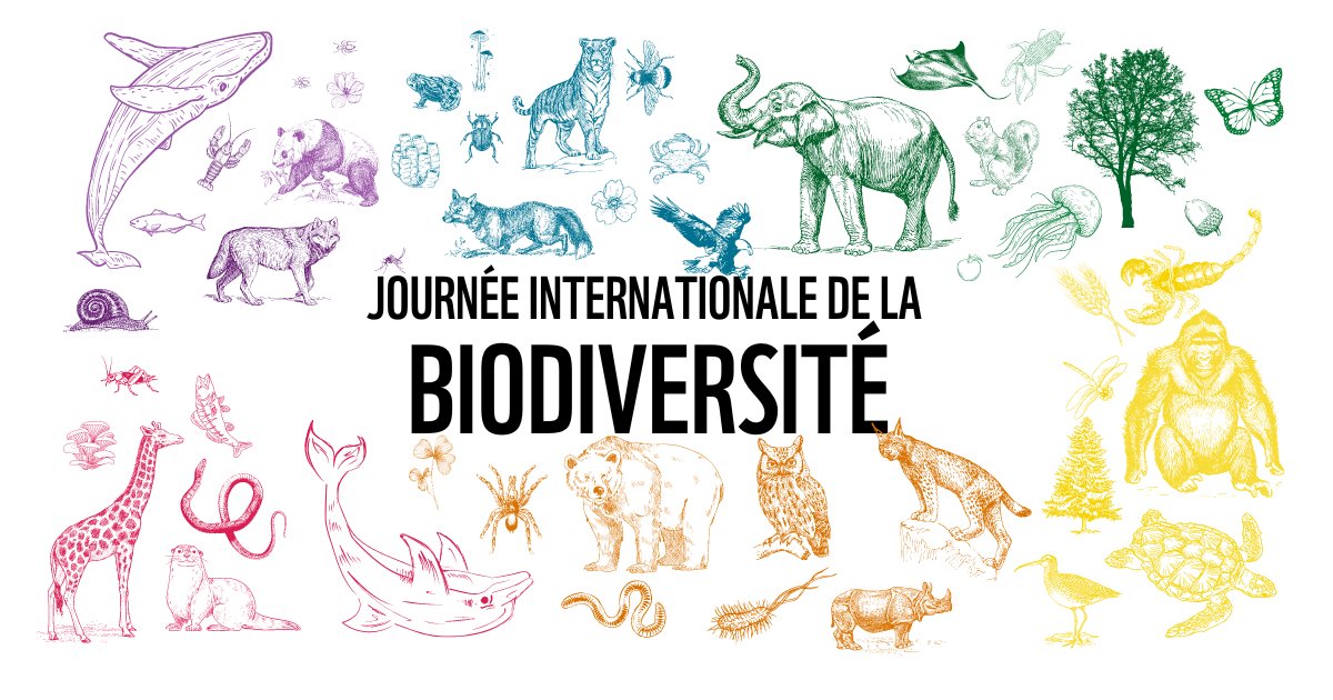 🌍Aujourd'hui, c'est la Journée internationale de la biodiversité. Un jour qui célèbre l'ensemble des êtres vivants de cette planète.

🧩 Chaque pièce du puzzle de la nature participe à un réseau de vie qui nous permet de vivre, respirer, boire et manger.

#BiodiversityDay
