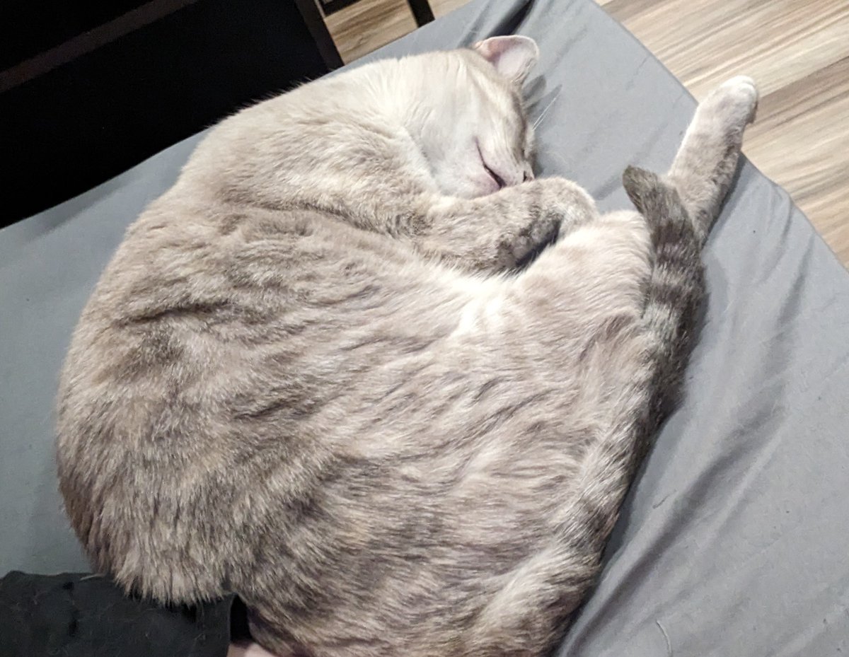 Laid down to relax a pinched nerve in my back, 30 mins and I'll be fine...heealp I can't get up!!! I guess there is worse things...send Cheetos I guess :p