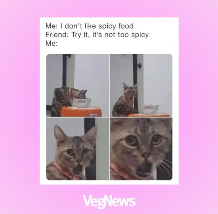 Spicy food: yes or no?