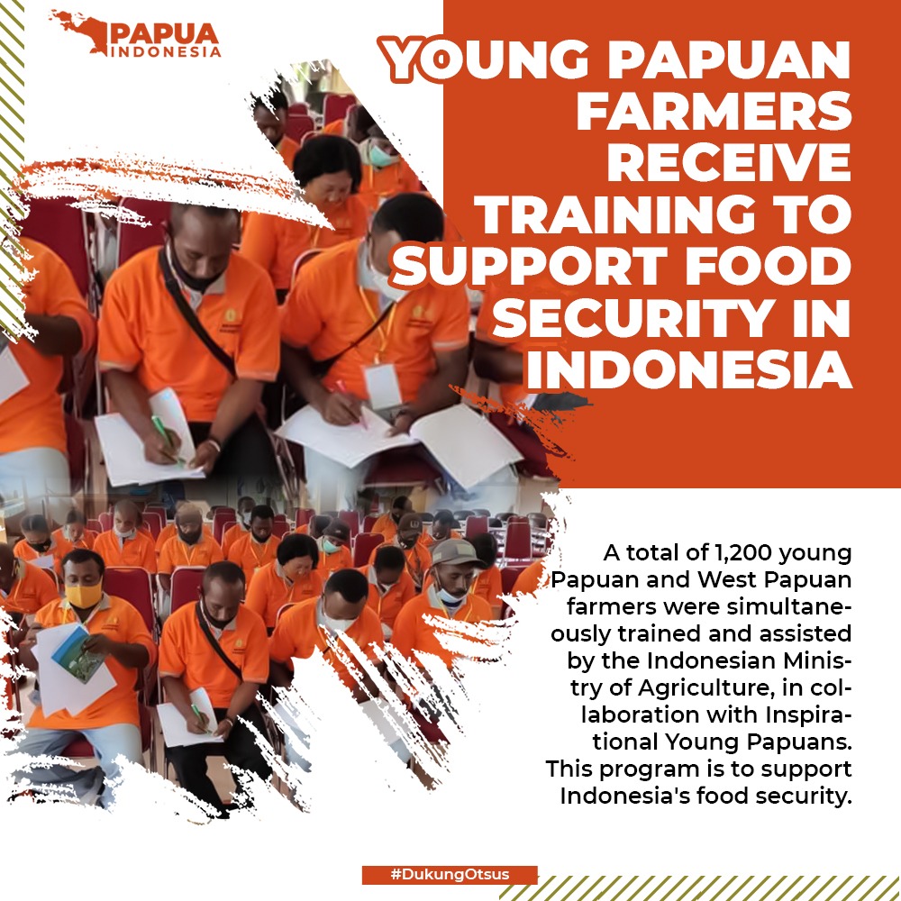 A total of 1,200 young Papuan farmers receive development training to support food security program in Indonesia.
#WestPapuan