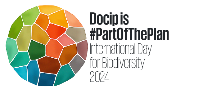 'Be part of the Plan' - Today is International Day for Biological Diversity! ✅ Follow the commemorations live: bit.ly/4bR4TUx ✅ Celebration in Geneva: bit.ly/3UJe2re ✅ CBD Flagship observances: bit.ly/4dSTW6w #BiodiversityDay #PartOfThePlan