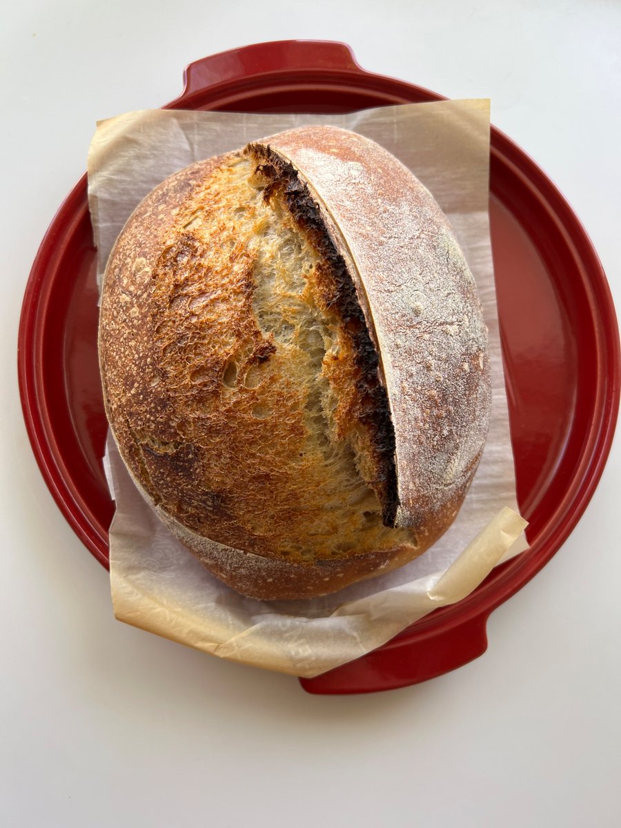 Tuesday sourdough loaves :-)