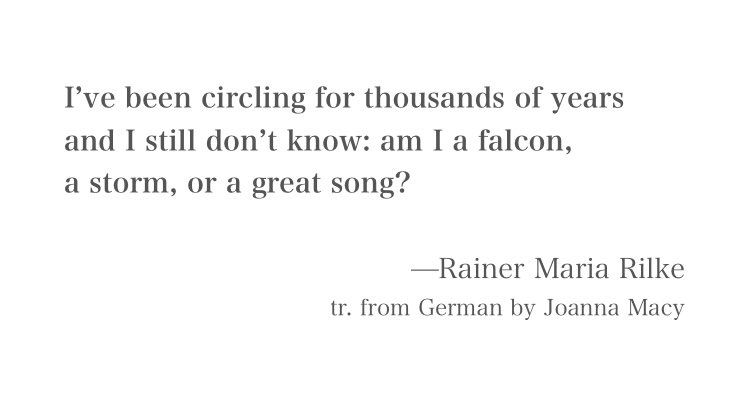 I’ve been circling for thousands of years
and I still don’t know: am I a falcon,
a storm, or a great song?

—Rainer Maria Rilke
tr. from German by Joanna Macy