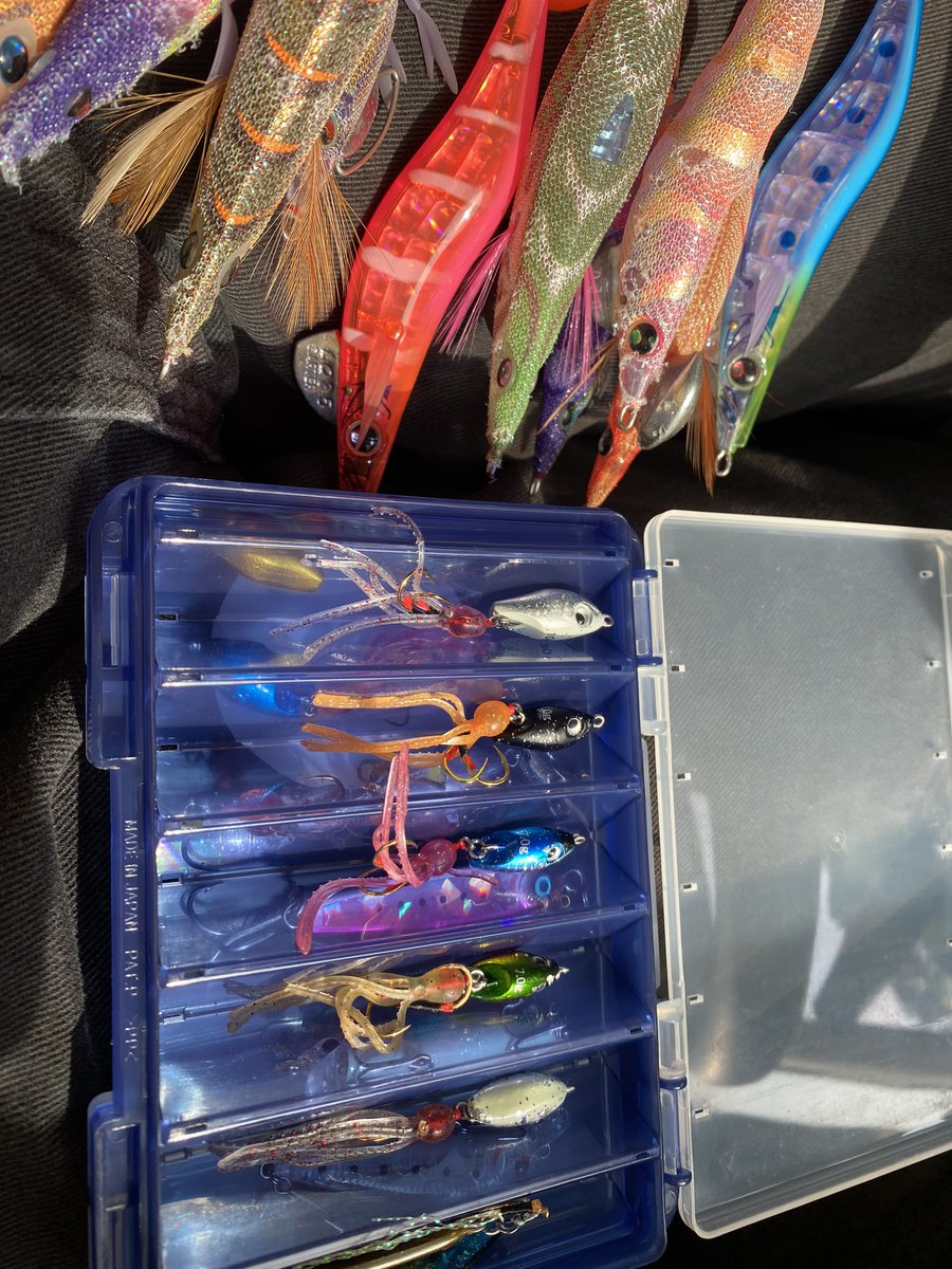 エギングセット🦑

合間にする根魚も楽しい🐟

<a href="/RUDIES_FISHING/">RUDIE’S/ルーディーズ</a> 
#エギ王
#パタパタ
#魚子チク