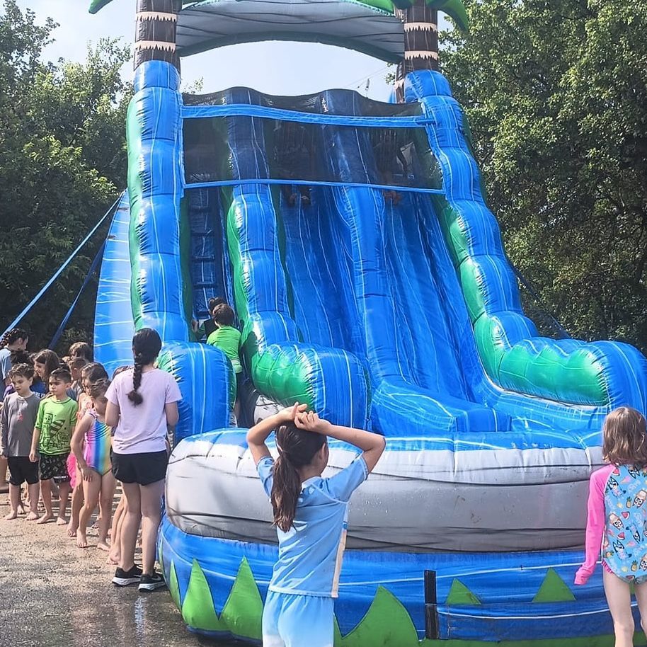 Anne Frank IA tweet media