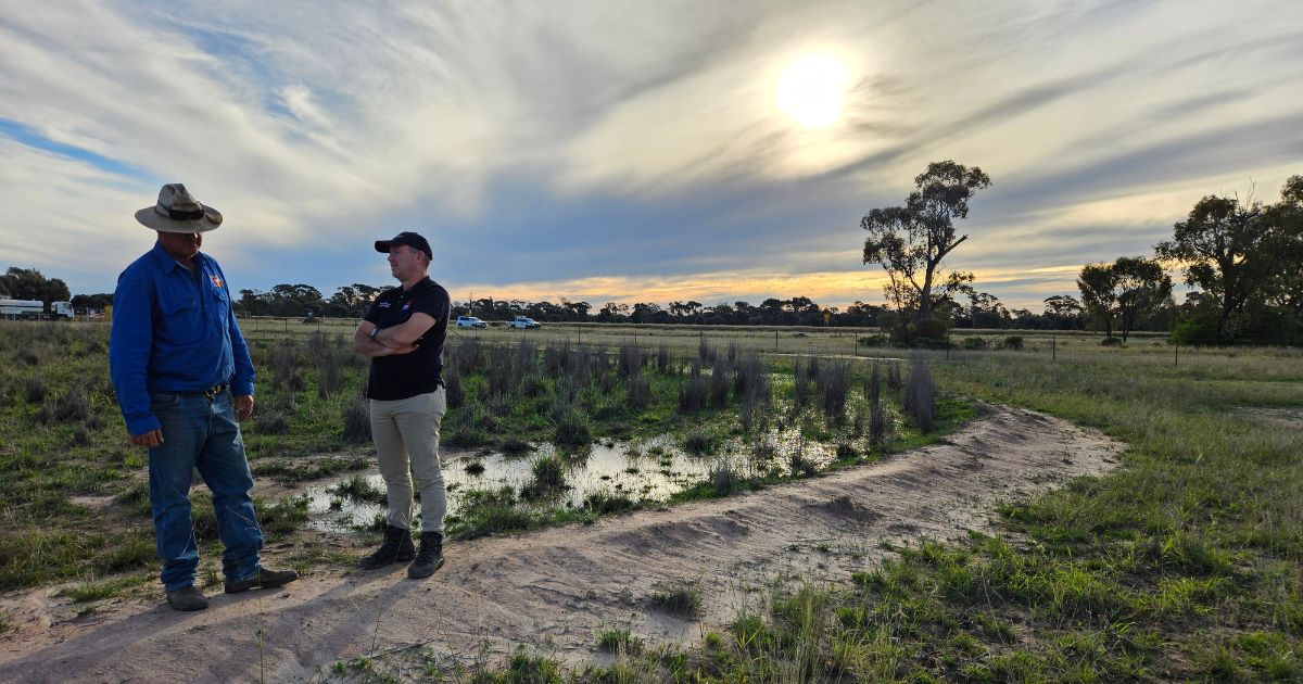 NRAR's tweet image. Funding from an enforcement action by NRAR is going towards a water ponding project in the Narrabri region.

Find out more about the project and the enforceable undertaking that funded it: bit.ly/3wHhFWK