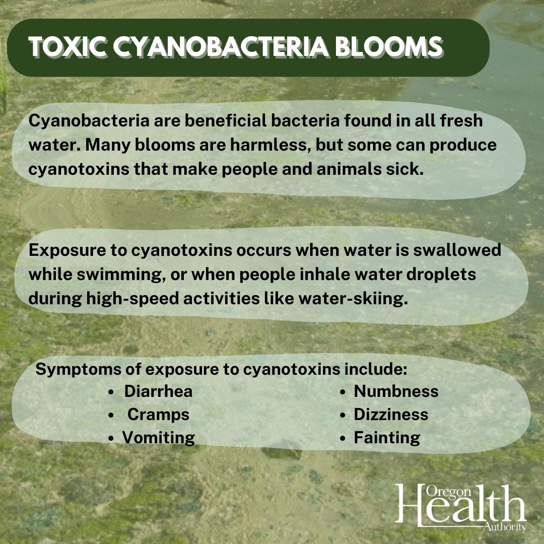 As summer approaches, OHA reminds people heading outdoors to enjoy Oregon’s lakes, rivers and reservoirs to be on the look-out for potentially toxic cyanobacteria blooms. For more information, read our news release: ow.ly/eBXV50RPS5f