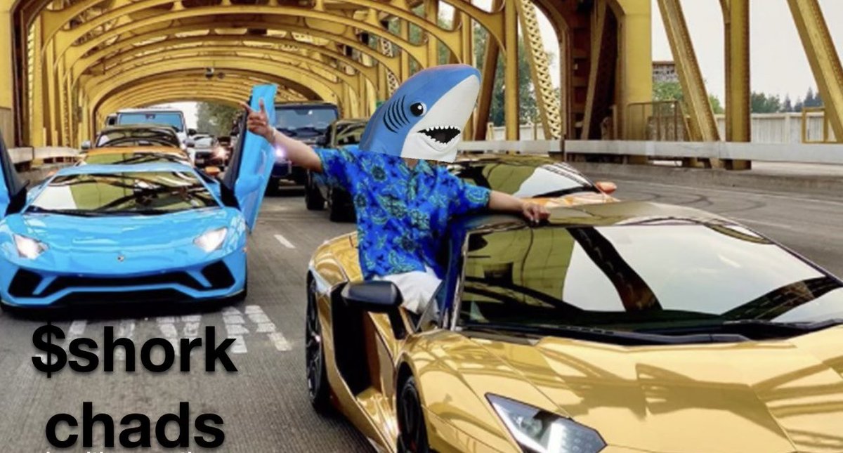 shork_coin's tweet photo. $shork Chads Assemble 🦈 https://t.co/EI3p1HEXnt