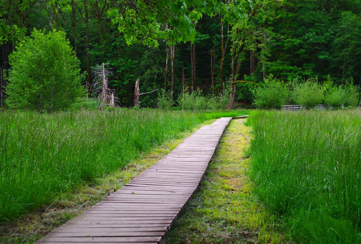 Happy Trails Tuesday! #springgreen #getoutside #PNW