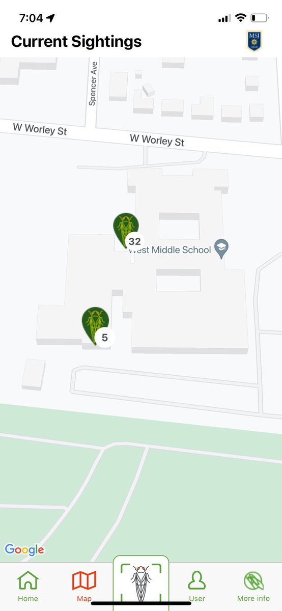 cpsmyers's tweet image. I have been helping record photo evidence of cicadas as part of a citizen science project. The map shows what I have recorded at school but trust me there are hundreds there! #cpsscience