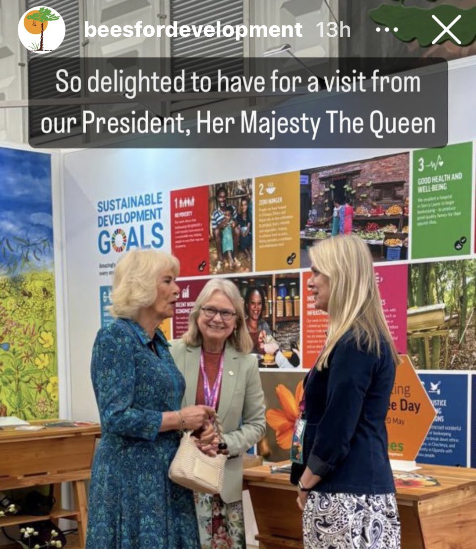 Visit @BeesForDev charity at @The_RHS #chelseaflowershow in the Discovery Zone. Her Majesty Queen Camilla @RoyalFamily has been President for years. 🥰🐝 Mr Unbeelievable will be volunteering on their stand tomorrow so if you buzz by say hi.👋🏽 beesfordevelopment.org