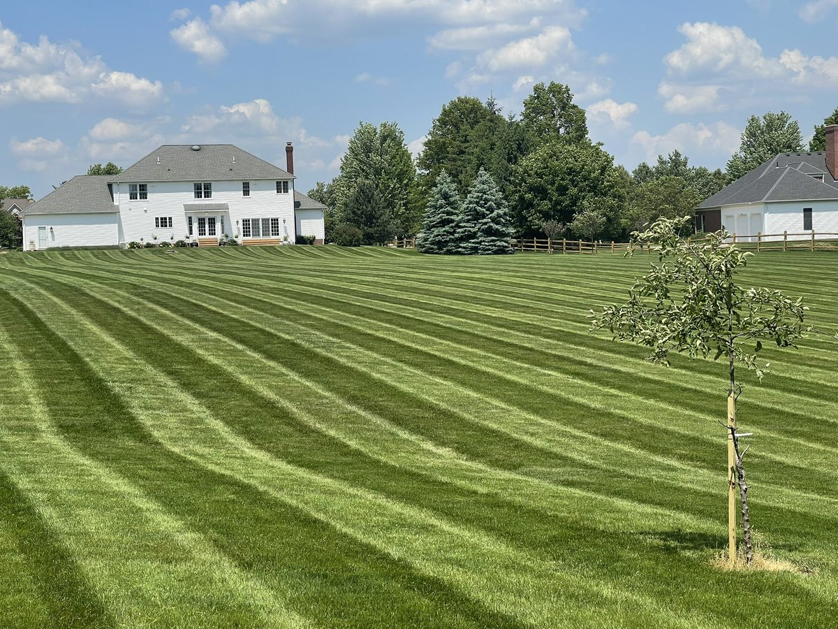 jrogproman's tweet image. I love long lines and I cannot lie! #wright