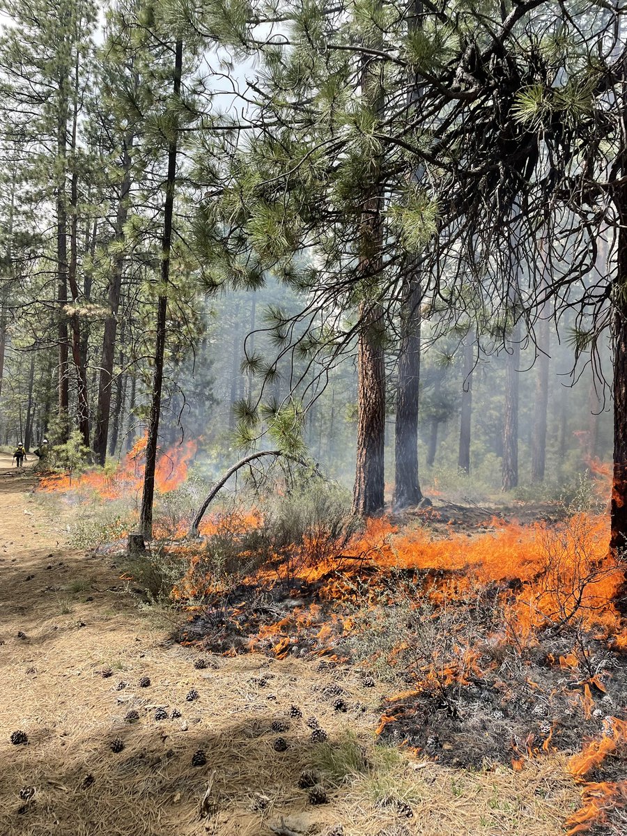 🔥Firefighters completed ignitions on 261 acres on the Rocket 9/10/11/12 Prescribed Burn 5 miles E of Sunriver & E of the Cottonwood Road interchange on Hwy 97. Residents in Sunriver, La Pine & Bend are encouraged to keep doors & windows closed to minimize smoke impacts.