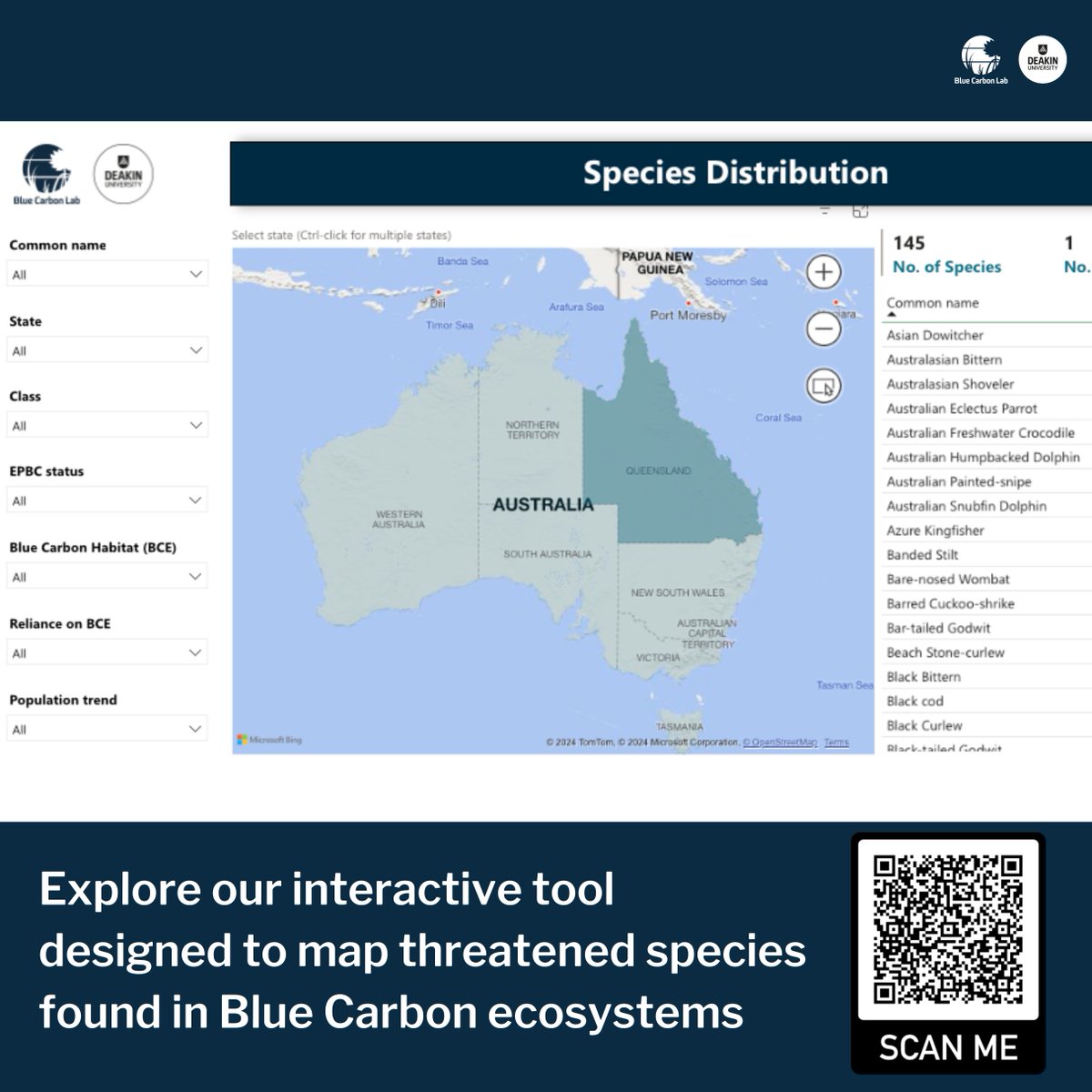 This #BiodiversityDay, we celebrate the rich tapestry of life in #BlueCarbon Ecosystems! We're excited to launch an interactive tool to discover #threatenedspecies in these areas. Ever wondered which reptile uses Queensland's mangroves? Spoiler: It’s the Littoral whiptail-skink🦎