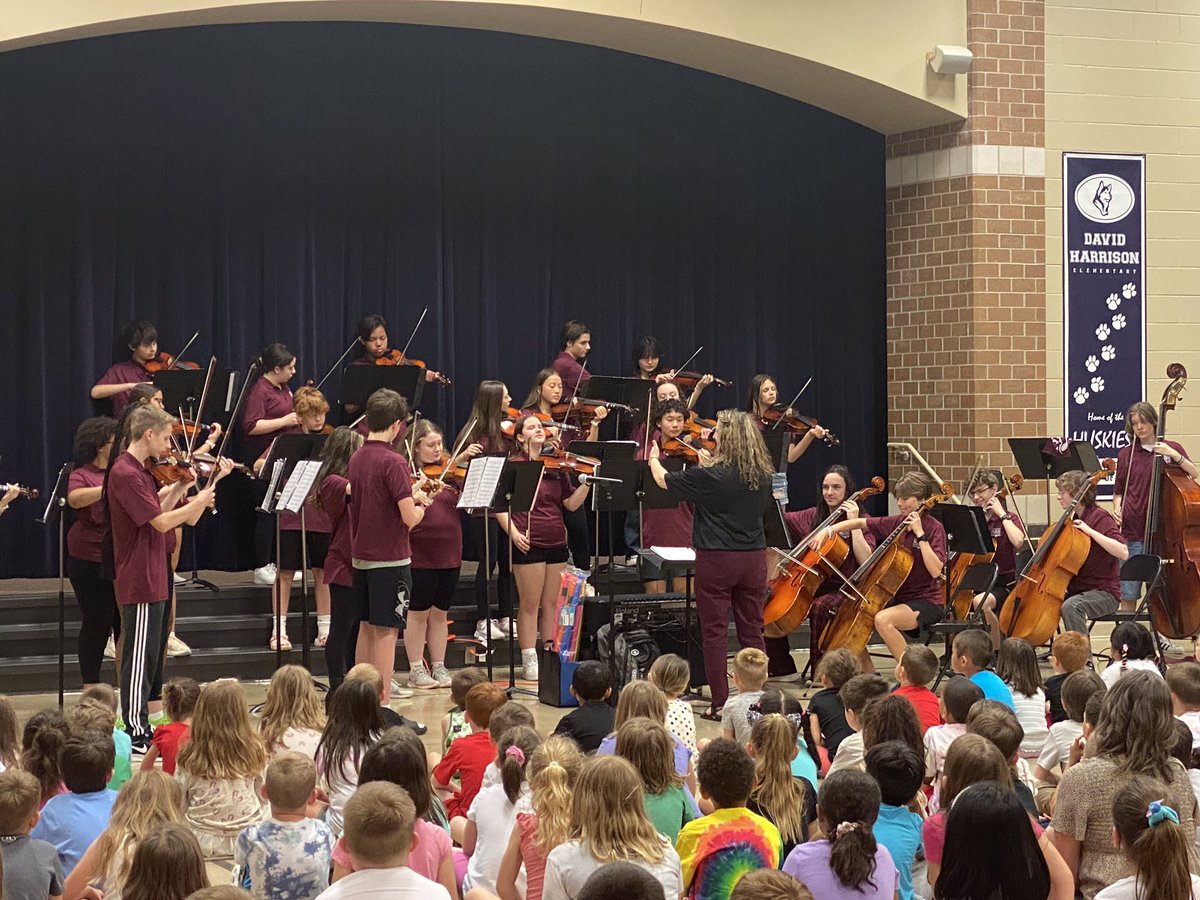 Hailey Acklin Music tweet media