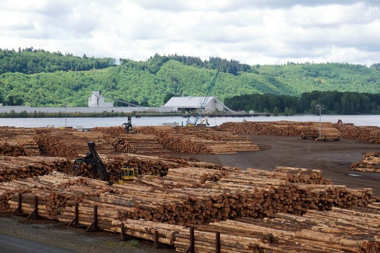 ECOWARRIORSS's tweet photo. Its a green washing con
Wood-pellet companies are not green and they have devastated forests in the Southeast and New England
burning wood produces even more carbon than coal per unit of energy generated
Their Carbon Emissions Go Uncounted

https://t.co/m4uFffk0Eb https://t.co/G3R0LbG5SQ